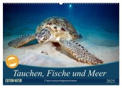 Tauchen, Fische und Meer (Wandkalender 2025 DIN A2 quer), CALVENDO Monatskalender - Sven Gruse