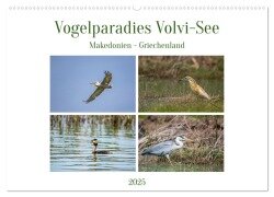 Vogelparadies Volvi-See (Wandkalender 2025 DIN A2 quer), CALVENDO Monatskalender - Ursula Di Chito