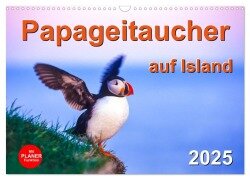 Papageitaucher auf Island (Wandkalender 2025 DIN A3 quer), CALVENDO Monatskalender - Carola Vahldiek