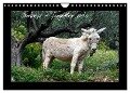 Donkeys - forgotten pets (Wall Calendar 2024 DIN A4 landscape), CALVENDO 12 Month Wall Calendar - Benny Trapp