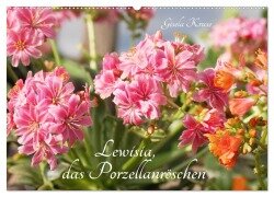 Lewisia, das Porzellanröschen (Wandkalender 2025 DIN A2 quer), CALVENDO Monatskalender - Gisela Kruse