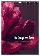 Die Königin der Rosen (Wandkalender 2026 DIN A4 hoch), CALVENDO Monatskalender - Susanne Stark Sugarsweet - Photo