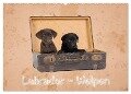 Labrador - Welpen (Wandkalender 2024 DIN A2 quer), CALVENDO Monatskalender - Heiko Eschrich -Heschfoto
