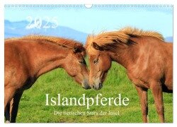 Islandpferde - Die tierischen Stars der Insel (Wandkalender 2025 DIN A3 quer), CALVENDO Monatskalender - Rainer Grosskopf