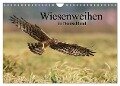 Wiesenweihen in Deutschland (Wandkalender 2024 DIN A4 quer), CALVENDO Monatskalender - Martin Wenner
