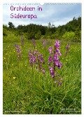 Orchideen in Südeuropa (Wandkalender 2024 DIN A3 hoch), CALVENDO Monatskalender - Benny Trapp