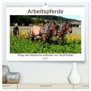 Arbeitspferde - Alltag des belgischen Kaltbluts (hochwertiger Premium Wandkalender 2025 DIN A2 quer), Kunstdruck in Hochglanz - Tanja Riedel