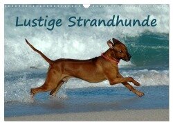 Lustige Strandhunde (Wandkalender 2025 DIN A3 quer), CALVENDO Monatskalender - Anke van Wyk - www. germanpix. net
