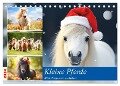 Kleine Pferde. Mini-Ponys zum verlieben (Tischkalender 2024 DIN A5 quer), CALVENDO Monatskalender - Rose Hurley
