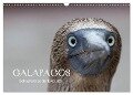 Galapagos (Wandkalender 2024 DIN A3 quer), CALVENDO Monatskalender - Ralf Weise