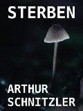 Sterben - Arthur Schnitzler