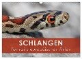 Schlangen - Portraits europäischer Arten (Wandkalender 2024 DIN A3 quer), CALVENDO Monatskalender - Kevin Eßer