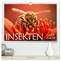 Insekten ganz gross (hochwertiger Premium Wandkalender 2024 DIN A2 quer), Kunstdruck in Hochglanz - Daniel Rohr