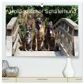 Holländischer Schäferhund (hochwertiger Premium Wandkalender 2025 DIN A2 quer), Kunstdruck in Hochglanz - Fotodesign Verena Scholze