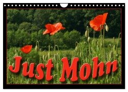 Cover-Bild zum Titel 'Just Mohn (Wandkalender 2026 DIN A4 quer), CALVENDO Monatskalender' von 'Flori Flori0'