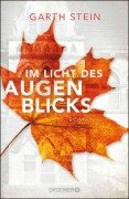 Im Licht des Augenblicks - Garth Stein
