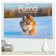 Puma: Auf leisen Pfoten (hochwertiger Premium Wandkalender 2026 DIN A2 quer), Kunstdruck in Hochglanz - Calvendo Calvendo