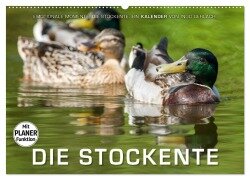 Emotionale Momente: Die Stockente. (Wandkalender 2026 DIN A2 quer), CALVENDO Monatskalender - Ingo Gerlach