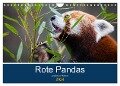 Rote Pandas - geschickte Kletterer (Wandkalender 2024 DIN A4 quer), CALVENDO Monatskalender - Cloudtail The Snow Leopard