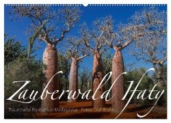 Zauberwald Ifaty · Traumhafte Baobabs in Madagaskar (Wandkalender 2026 DIN A2 quer), CALVENDO Monatskalender - Olaf Bruhn