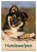 Hundewelpen (Tischkalender 2024 DIN A5 hoch), CALVENDO Monatskalender - Katho Menden