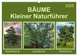 Bäume Kleiner Naturführer (Wandkalender 2025 DIN A2 quer), CALVENDO Monatskalender - Claudia Kleemann