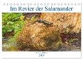 Im Revier der Salamander (Tischkalender 2024 DIN A5 quer), CALVENDO Monatskalender - Winfried Erlwein