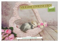 MEERSCHWEINCHEN verzaubern uns immer wieder (Wandkalender 2026 DIN A3 quer), CALVENDO Monatskalender - Sabine Hampe-Neves