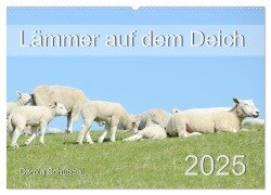 Lämmer auf dem Deich (Wandkalender 2025 DIN A2 quer), CALVENDO Monatskalender - Carola Schubbel