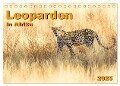 Leoparden in Afrika (Tischkalender 2025 DIN A5 quer), CALVENDO Monatskalender - Gerd-Uwe Neukamp