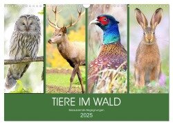 Tiere im Wald. Bezaubernde Begegnungen (Wandkalender 2025 DIN A3 quer), CALVENDO Monatskalender - Rose Hurley