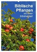 Biblische Pflanzen mit ihren Bibelversen (Wandkalender 2025 DIN A2 hoch), CALVENDO Monatskalender - Hans-Georg Vorndran