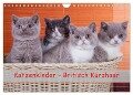 Katzenkinder Britisch Kurzhaar (Wandkalender 2024 DIN A4 quer), CALVENDO Monatskalender - Gabriela Wejat-Zaretzke