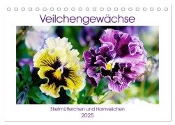 Veilchengewächse - Stiefmütterchen und Hornveilchen (Tischkalender 2025 DIN A5 quer), CALVENDO Monatskalender - Gisela Kruse