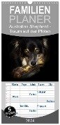 Familienplaner 2024 - Australian Shepherd - Traum auf vier Pfoten mit 5 Spalten (Wandkalender, 21 x 45 cm) CALVENDO - Andrea Mayer Tierfotografie