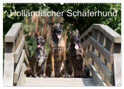 Holländischer Schäferhund (Wandkalender 2025 DIN A2 quer), CALVENDO Monatskalender - Fotodesign Verena Scholze