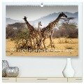 Serengeti - auf den Spuren eines Zoologen (hochwertiger Premium Wandkalender 2024 DIN A2 quer), Kunstdruck in Hochglanz - Jürgen Maaß