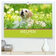 Welpen im Frühling (hochwertiger Premium Wandkalender 2026 DIN A2 quer), Kunstdruck in Hochglanz - Judith Dzierzawa