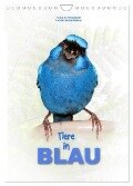 Tiere in Blau (Wandkalender 2024 DIN A4 hoch), CALVENDO Monatskalender - Heinz Schmidbauer