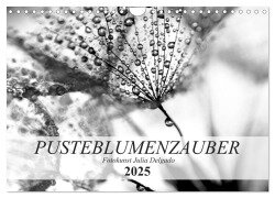 Pusteblumenzauber in schwarzweiß (Wandkalender 2025 DIN A4 quer), CALVENDO Monatskalender - Julia Delgado