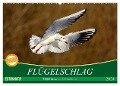Flügelschlag - Vögel in ihrem natürlichen Lebensraum (Wandkalender 2024 DIN A2 quer), CALVENDO Monatskalender - Axel Kottal Claudia Elsner