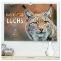 Raubkatze Luchs (hochwertiger Premium Wandkalender 2024 DIN A2 quer), Kunstdruck in Hochglanz - Peter Roder