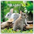 Rabbits - Hasen - Kaninchen 2025 - 16-Monatskalender - 