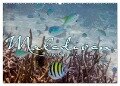 Unterwasserwelt der Malediven III (Wandkalender 2024 DIN A2 quer), CALVENDO Monatskalender - Clave Rodriguez Photography