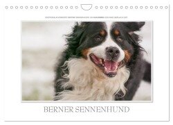 Emotionale Momente: Berner Sennenhund. (Wandkalender 2025 DIN A4 quer), CALVENDO Monatskalender - Ingo Gerlach GDT