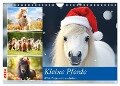 Kleine Pferde. Mini-Ponys zum verlieben (Wandkalender 2024 DIN A4 quer), CALVENDO Monatskalender - Rose Hurley