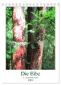 Die Eibe - Der sagenumwobene Baum (Tischkalender 2024 DIN A5 hoch), CALVENDO Monatskalender - Claudia Schimmack