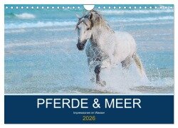 PFERDE & MEER (Wandkalender 2026 DIN A4 quer), CALVENDO Monatskalender - Petra Eckerl Tierfotografie