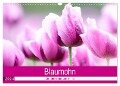 Blaumohn - Ein Blütentraum in lila (Wandkalender 2024 DIN A3 quer), CALVENDO Monatskalender - Fotodesign Verena Scholze