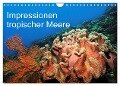 Impressionen tropischer Meere (Wandkalender 2024 DIN A4 quer), CALVENDO Monatskalender - Martin Rauchenwald